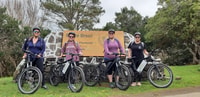 Derde eiland, elektrische fietstour Monte Brasil - Housity