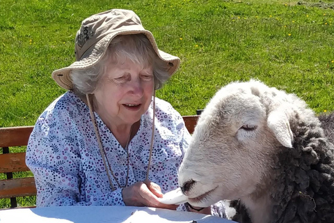 Scotland: Tea Retreat with Naughty Sheep