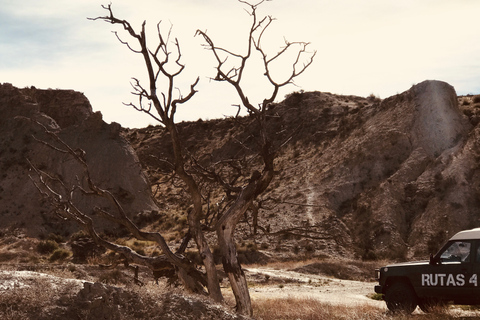 Almería: Tour en 4x4 por el desierto de TabernasAlmería: Excursión en 4x4 por el Desierto de Tabernas