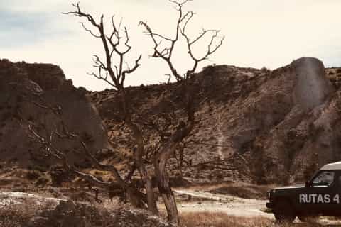 Almeria: Tabernas Desert 4x4 Tour