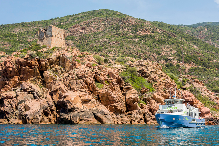 From Ota: Scandola Nature Reserve Eco-Friendly Boat Tour 3-Hour Tour: Scandola Nature Reserve and Girolata
