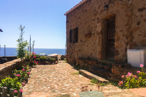 From Ota: Scandola Nature Reserve Eco-Friendly Boat Tour 3-Hour Tour: Scandola Nature Reserve and Girolata