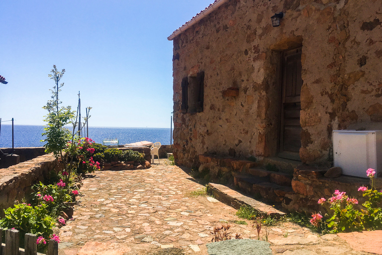From Ota: Scandola Nature Reserve Eco-Friendly Boat Tour 3-Hour Tour: Scandola Nature Reserve and Girolata