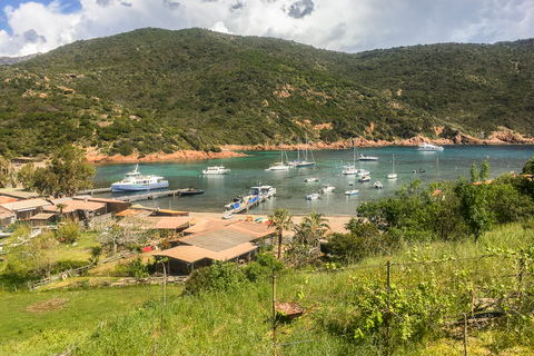 From Ota: Scandola Nature Reserve Eco-Friendly Boat Tour 3-Hour Tour: Scandola Nature Reserve and Girolata