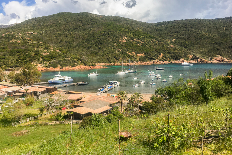 From Ota: Scandola Nature Reserve Eco-Friendly Boat Tour 3-Hour Tour: Scandola Nature Reserve and Girolata
