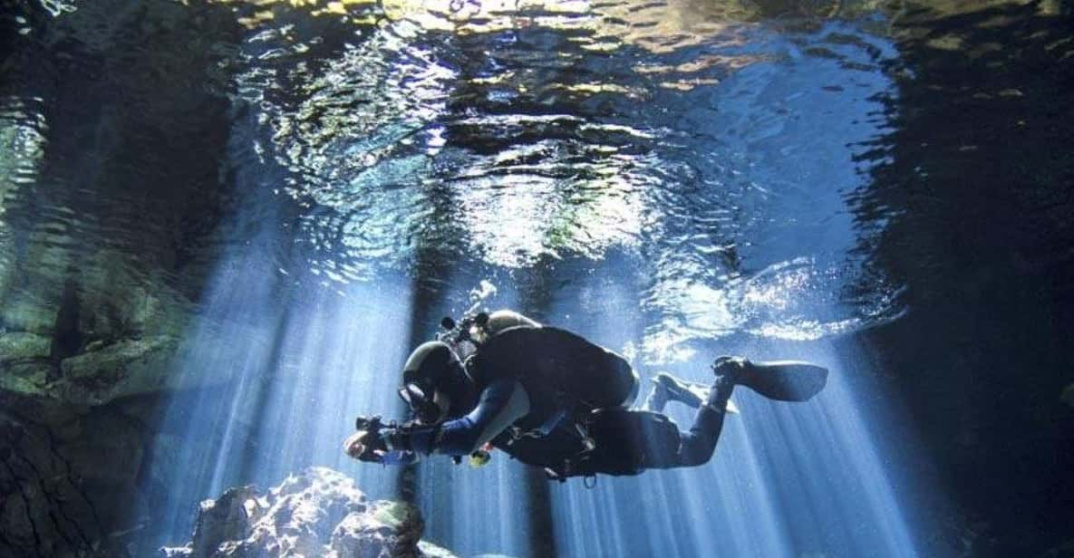 From Cancun: Chikin Ha Cenote Diving Experience | GetYourGuide