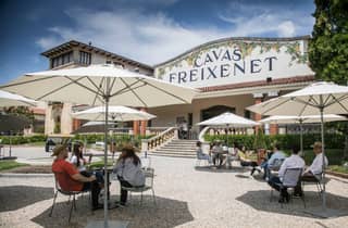 Ab Barcelona: Führung durch die Freixenet-Keller