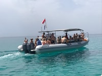 Tropea, gita in barca a Capo Vaticano con snorkeling e un drink - Housity