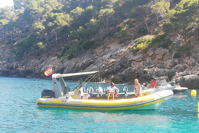 Majorque : Visite en bateau de la grotte bleue avec plongée en apnée