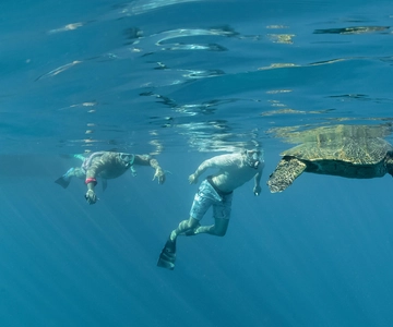 From Ma'alaea: AM Turtle Town Snorkel Aboard Quicksilver