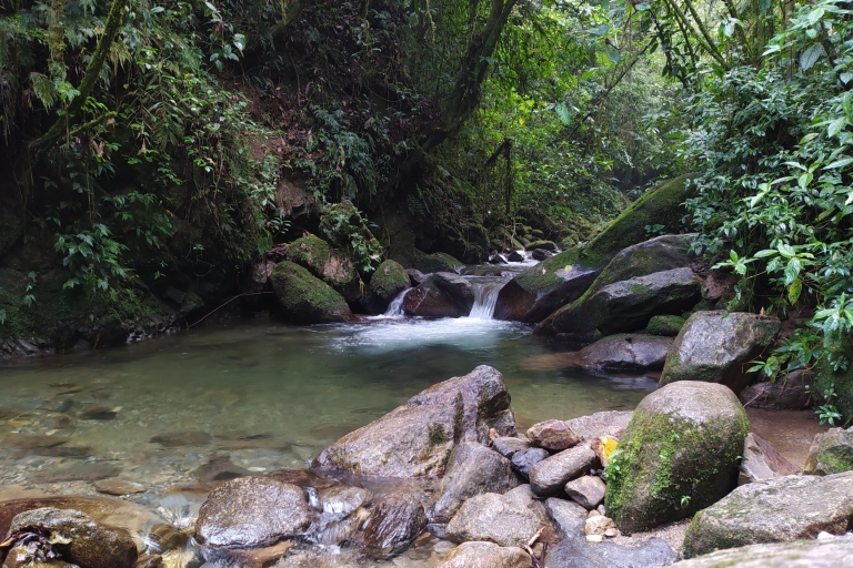 Medellin: Halbtägige private Naturtour & Wasserfall-Wanderung
