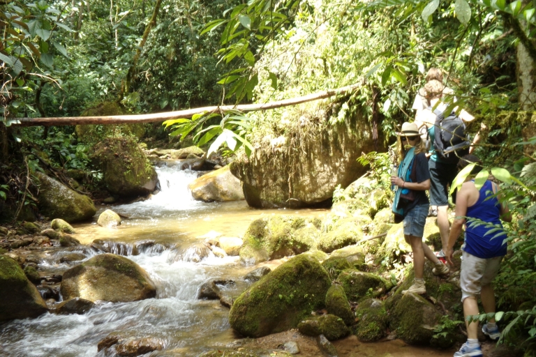 Medellin : Excursion privée d'une demi-journée dans la nature et randonnée dans les chutes d'eau