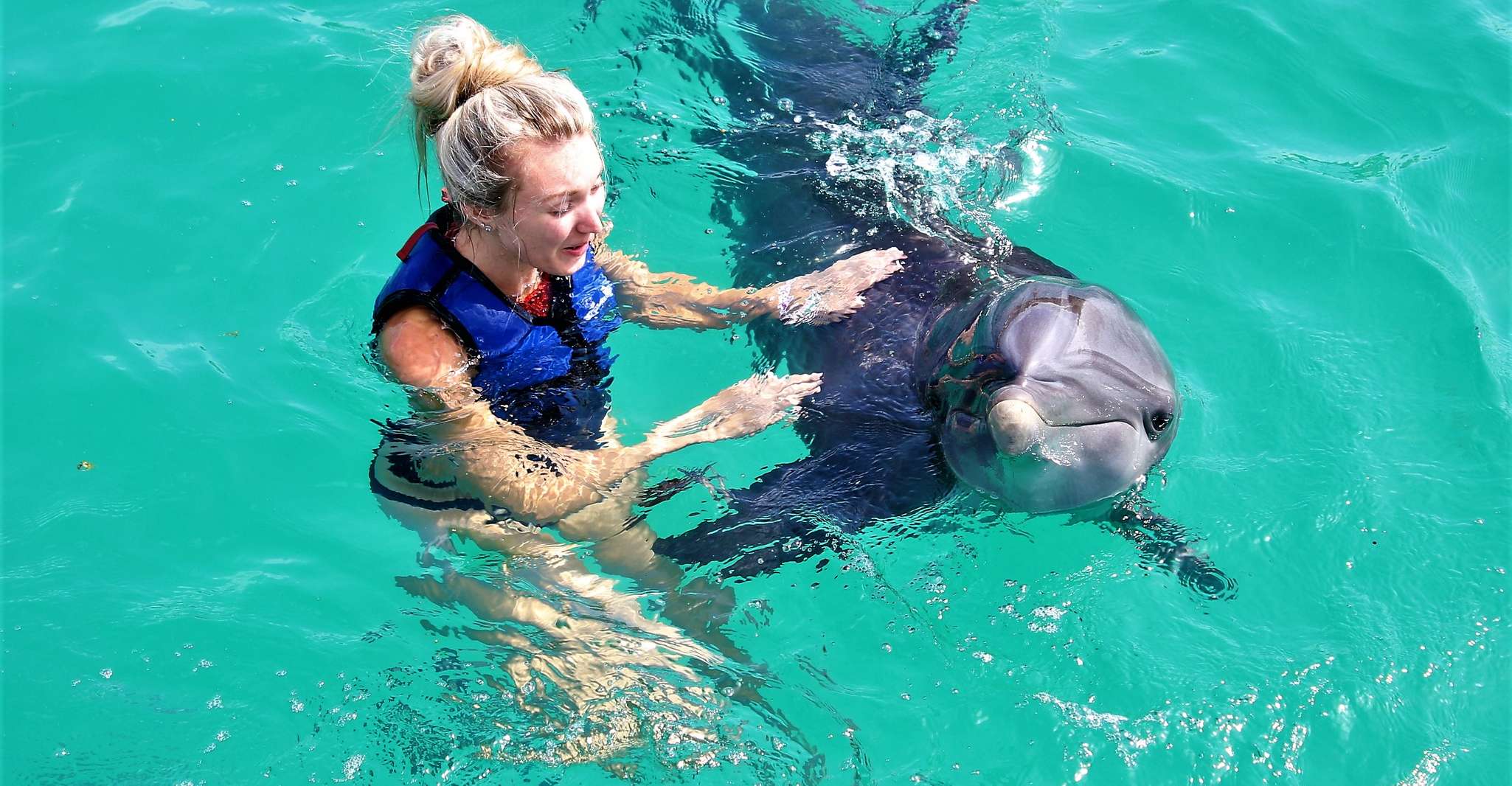 Saint Thomas, Swim with Dolphins at Coral World Ocean Park - Hizvo