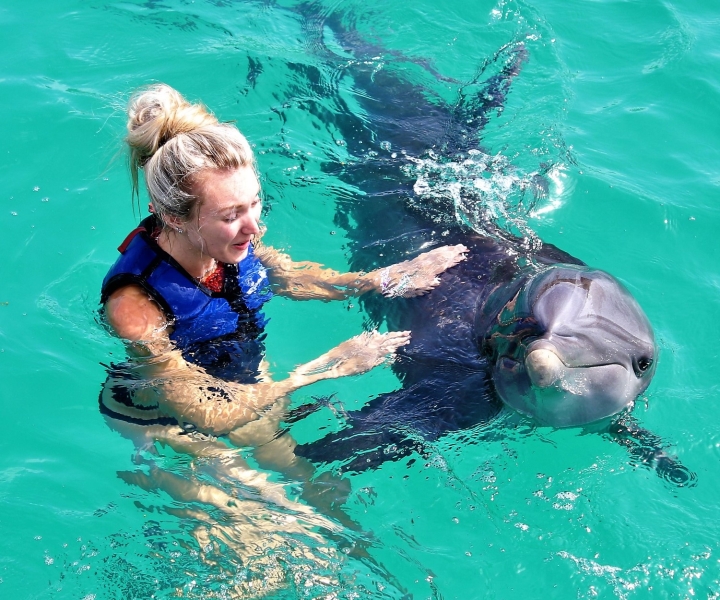 Saint Thomas: Swim with Dolphins at Coral World Ocean Park