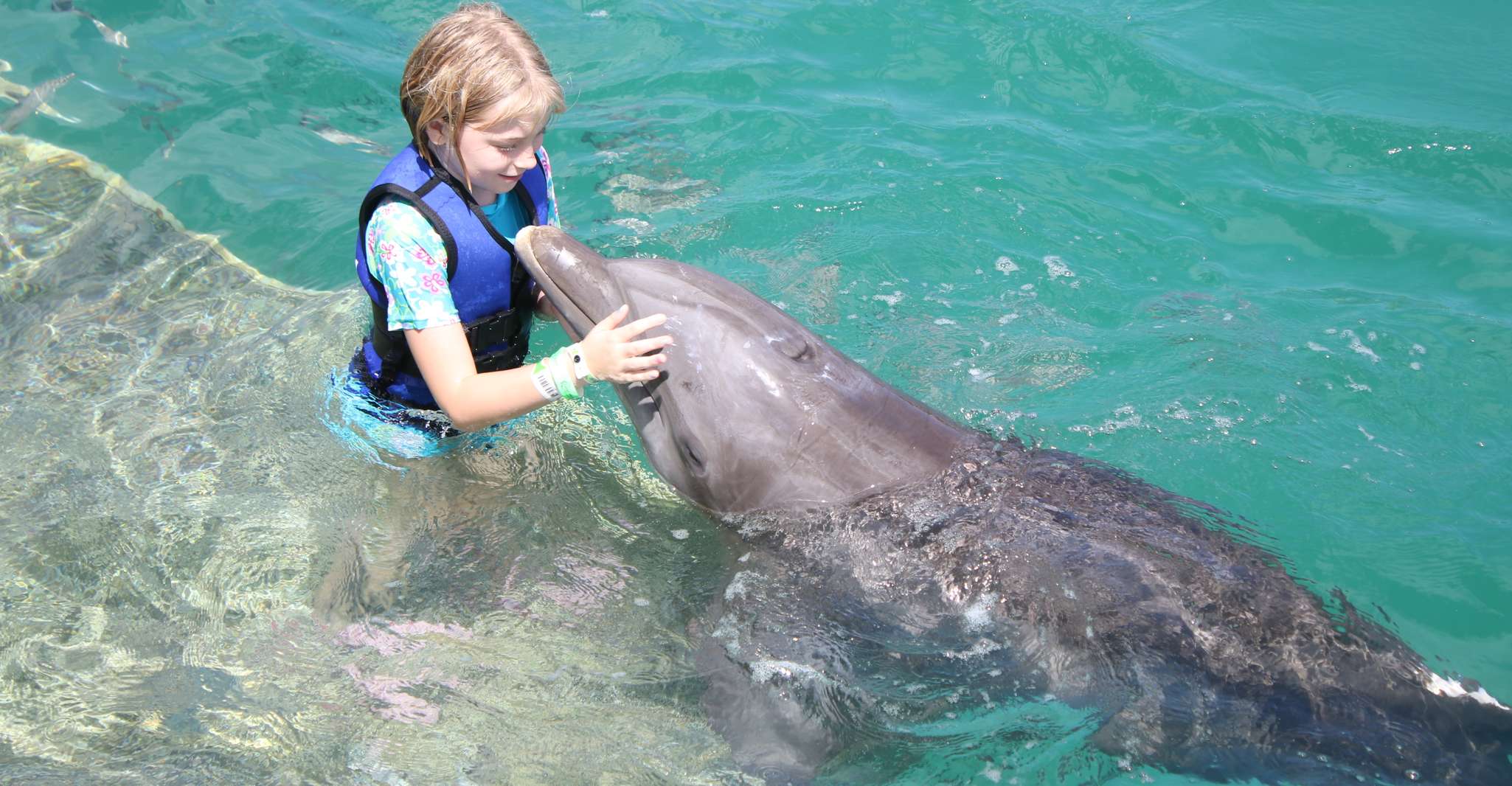 St. Thomas, Schwimmen mit Delfinen im Coral World Ocean Park - Hizvo
