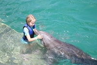 St. Thomas, Schwimmen mit Delfinen im Coral World Ocean Park - Hizvo