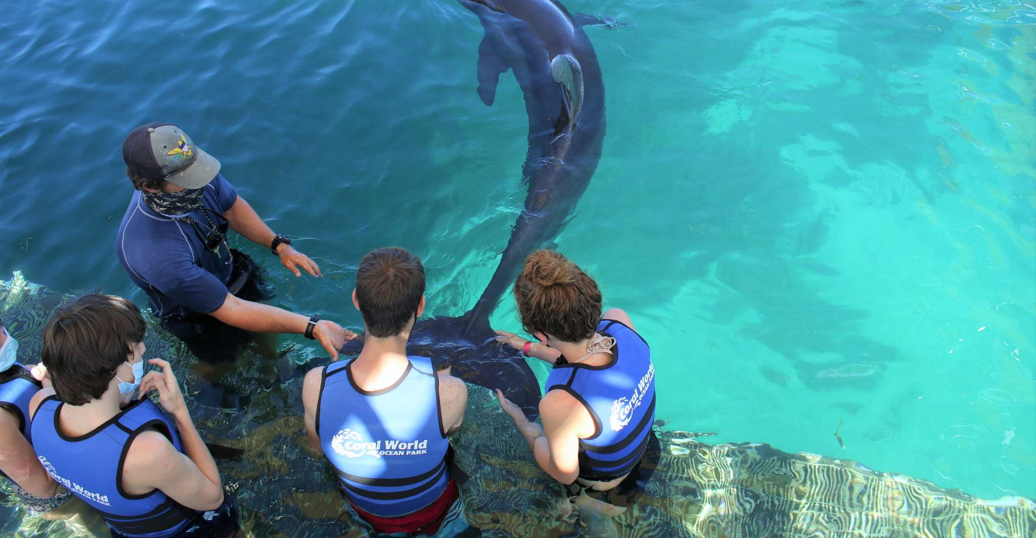 St. Thomas, Schwimmen mit Delfinen im Coral World Ocean Park - Hizvo