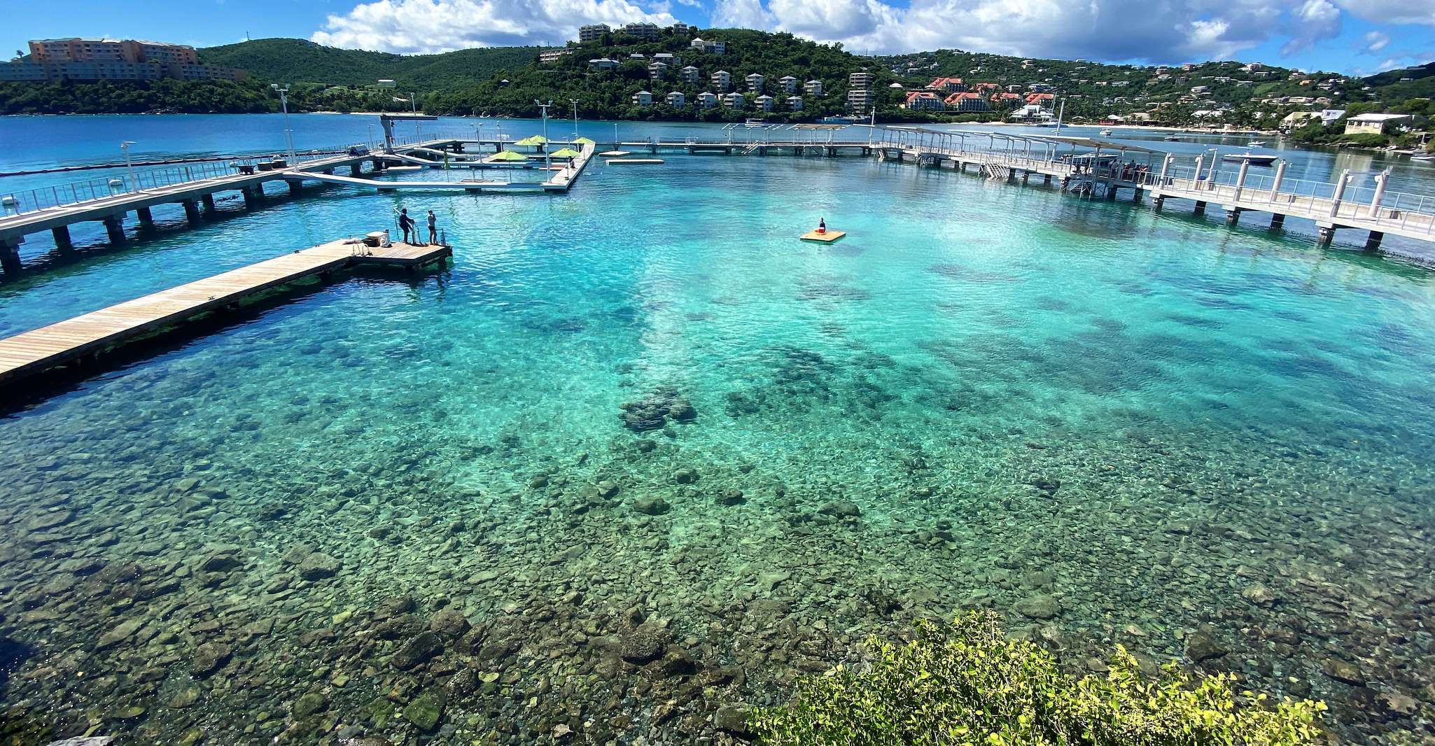 St. Thomas, Schwimmen mit Delfinen im Coral World Ocean Park - Hizvo