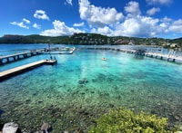 St. Thomas, Schwimmen mit Delfinen im Coral World Ocean Park - Hizvo
