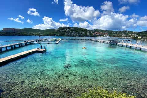 Saint Thomas: Swim with Dolphins at Coral World Ocean Park