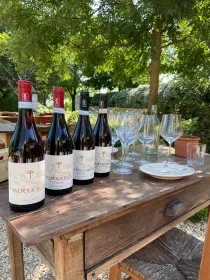 Verona: Weinverkostung im Innenhof des Weinguts