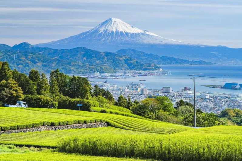 private guided tours of japan