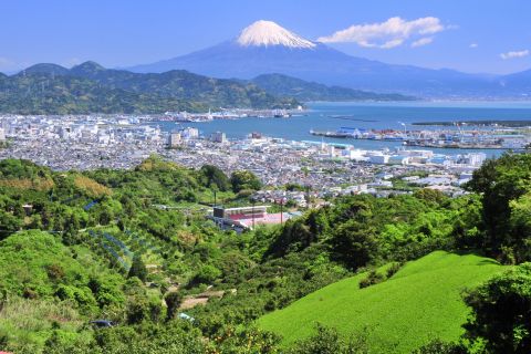 Shizuoka: Private Guided Tour