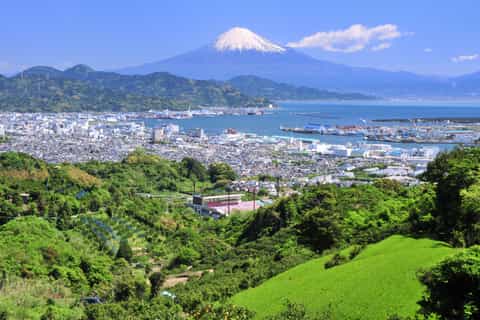 Shizuoka: Private Guided Tour
