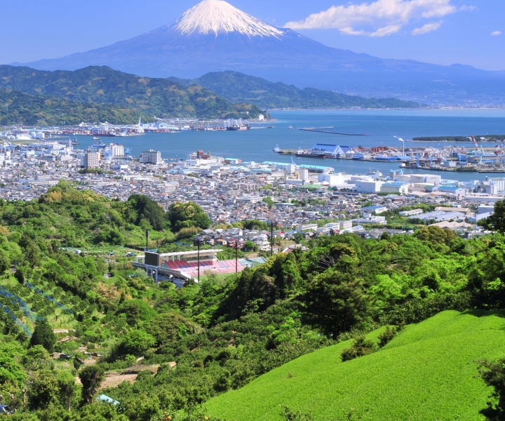 Shizuoka: tour guidato privato