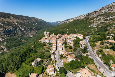 Da Nizza: tour dei campi di lavanda e delle gole del VerdonTour di gruppo