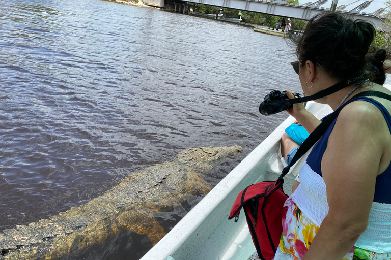 Natuurbelevenis Rio Lagartos en Las Coloradas.
