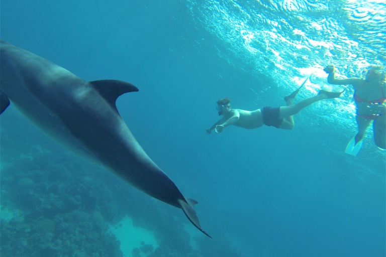 Hurghada: rejs z obserwacją delfinów i nurkowaniem z rurkąWycieczka grupowa