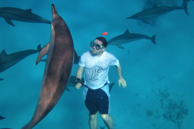 Hurghada: avistamiento de delfines y esnórquel en lancha rápidaTour Compartido