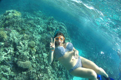 Hurghada: dolfijnen spotten per speedboot en snorkelenGedeelde tour