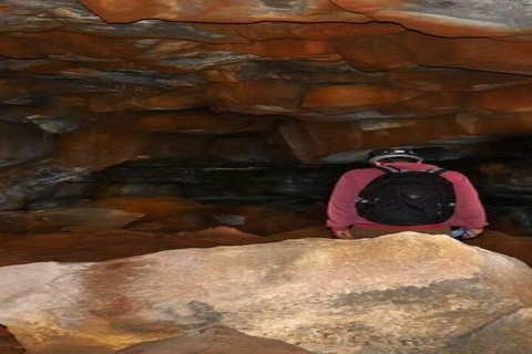 Santa Cruz: Tur för att se jättesköldpaddor och lavatunnlarSanta Cruz: Tur med gigantiska landsköldpaddor och lavatunnlar