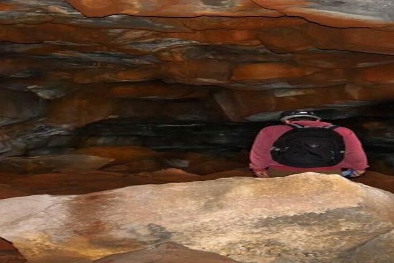 Santa Cruz: Giant Tortoise Watching and Lava Tunnels Tour