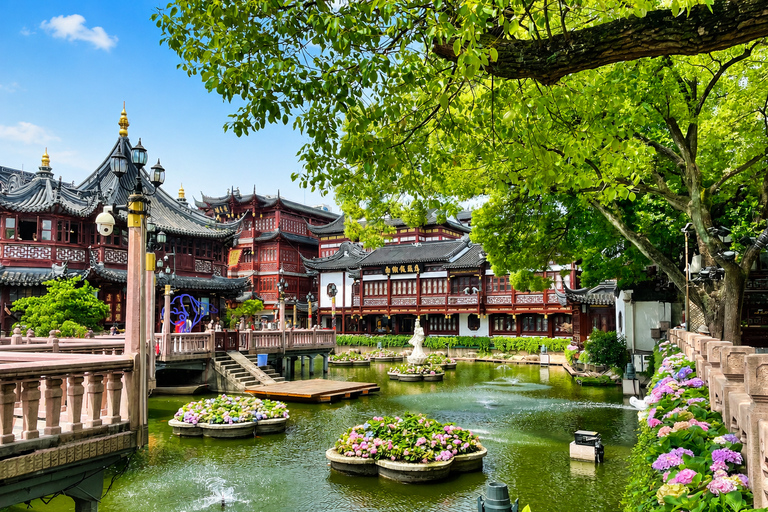 Shanghai: Private Half-Day City Highlights Tour with Car