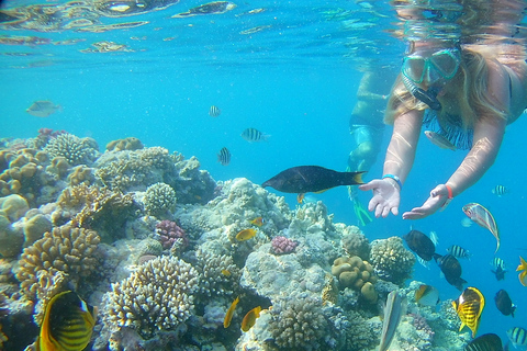 Hurghada: Aventura particular em lancha rápida com lanches e trasladoAluguel de lancha de 4 horas