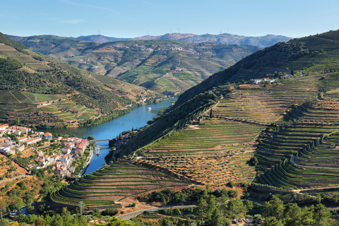 Porto: Vinresa Vintur i Dourodalen med en sommelier och båttur