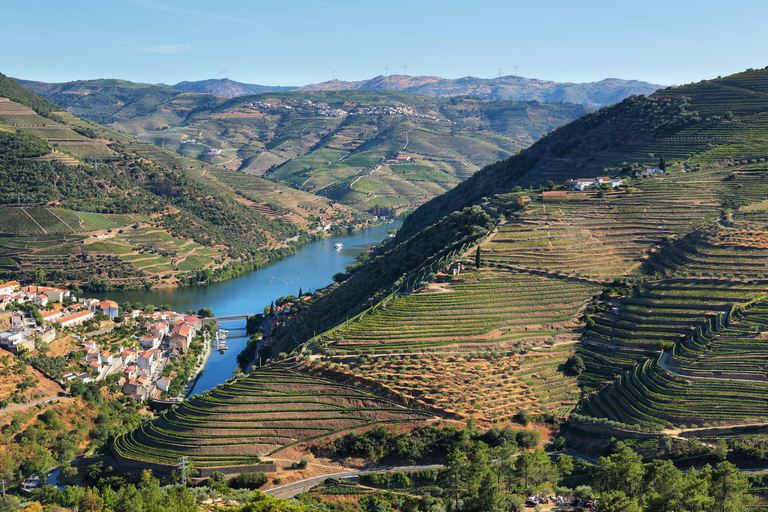 Porto: Vinresa Vintur i Dourodalen med en sommelier och båttur