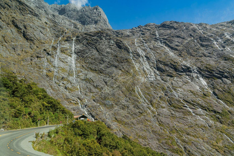 Queenstown: Milford Sound Private Tour