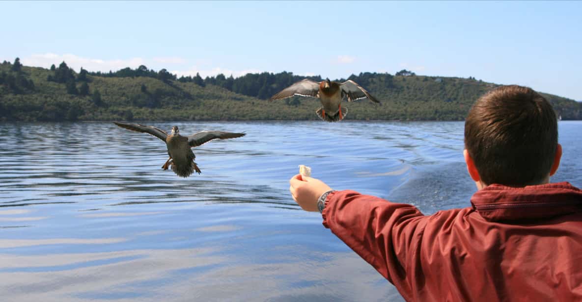 Lake Taupo: 1.5-Hour Māori Rock Carvings Scenic Boat Cruise