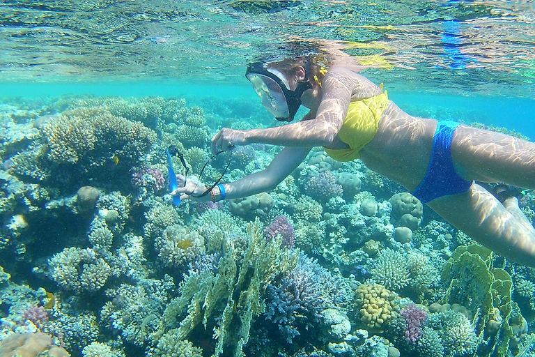 Hurghada: Viagem de mergulho com snorkel em lancha rápida com traslado do hotelHurghada: Lancha privativa para mergulho com snorkel e traslado do hotel