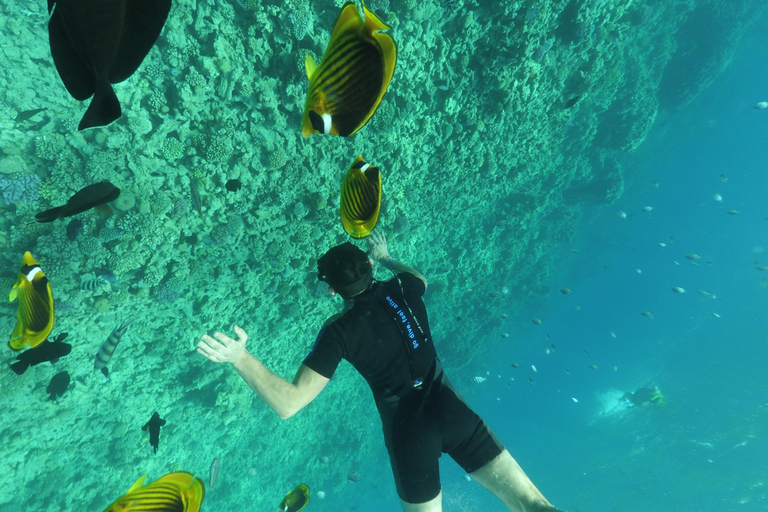 Hurghada: visite de trois îles en hors-bord avec prise en charge à l'hôtel