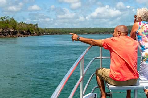 Hervey Bay: Sandy Strait Scenic and Wildlife Cruise
