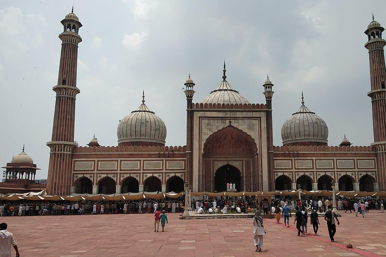 Delhi : New Delhi & Old Full-Half Day Private Guided Tour Guide & Car