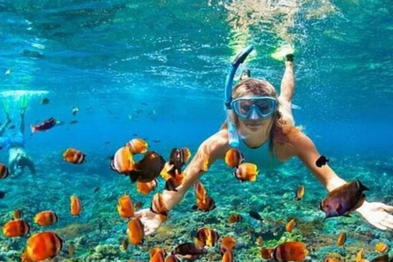 Private: Sosua Bay Snorkeling Tour with Hotel Pickup