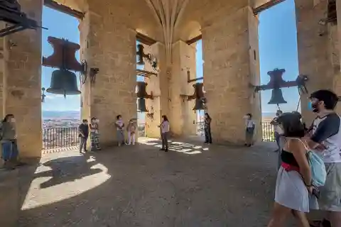 Torre de la Catedral Visita guiada