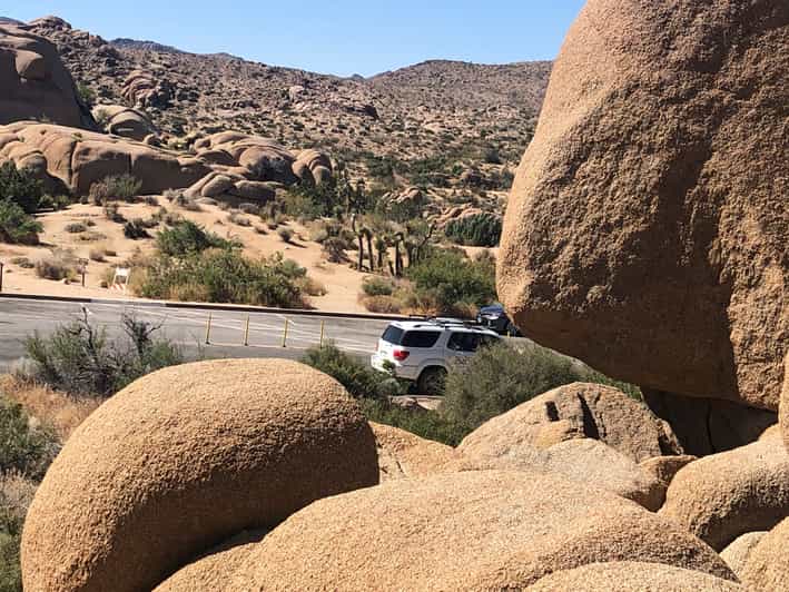 Joshua Tree National Park Driving Tour GetYourGuide