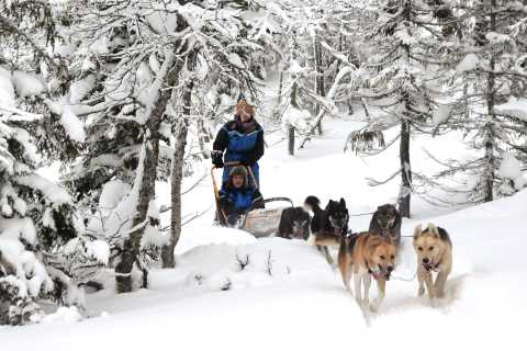Breivikedet : balade en traîneau à chiens